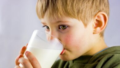 kandungan gula dalam susu formula